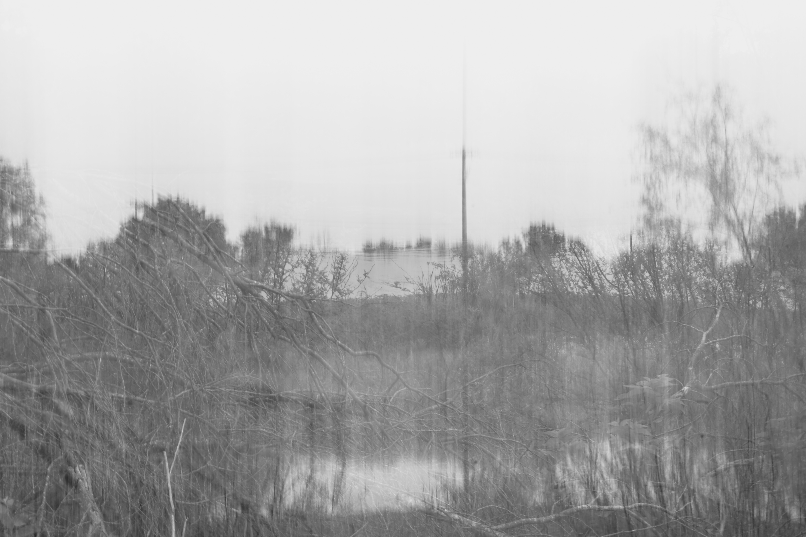 black and white photo of a blurred pond with hazy tree branches